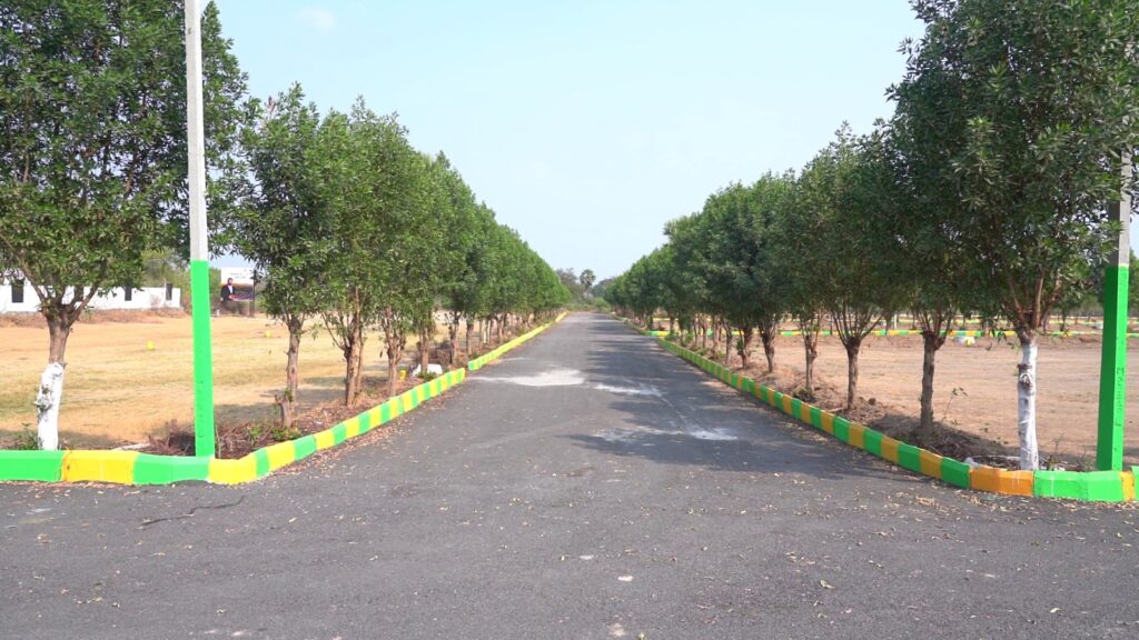 whatsapp image 2026 03 21 at 6.15.07 pm (3)